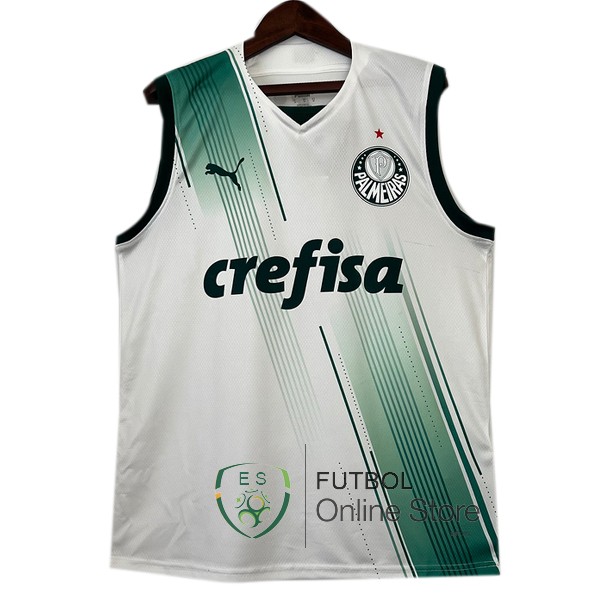 Sin Mangas Camiseta Palmeiras 23/2024 Segunda