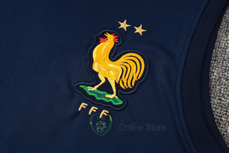 Entrenamiento Sin Mangas Conjunto Completo Francia 2024 Azul Marino