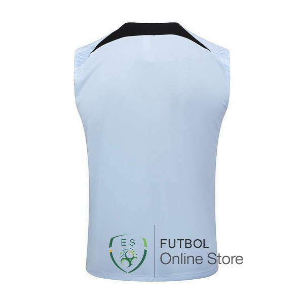 Entrenamiento Sin Mangas Inter Milan 23/2024 I Azul