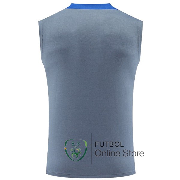 Entrenamiento Sin Mangas Inter Milan 24/2025 Gris Azul