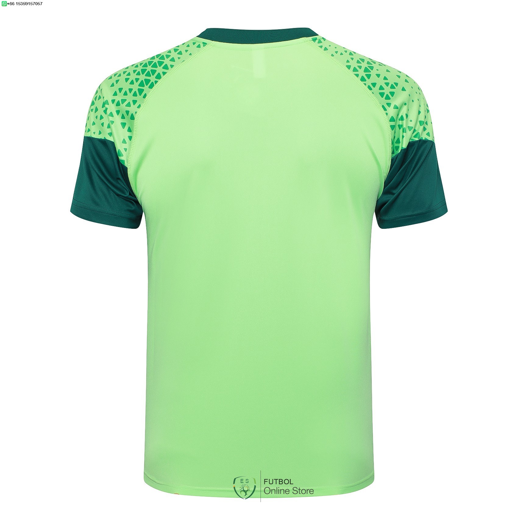 Entrenamiento Palmeiras 25/2026 Verde