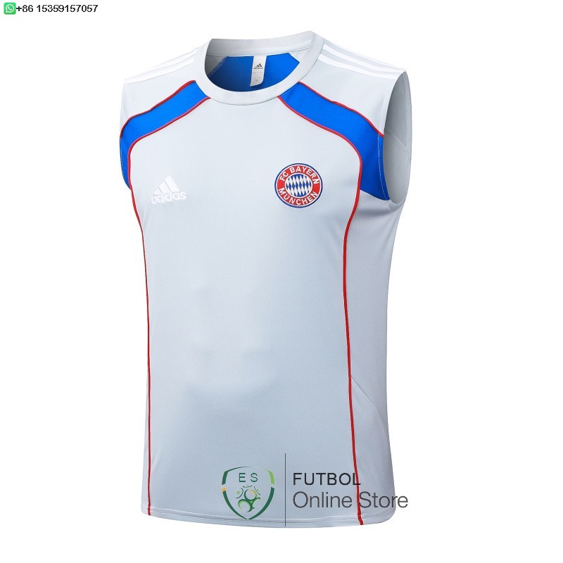 Entrenamiento Sin Mangas Bayern Munich 25/2026 Gris Azul