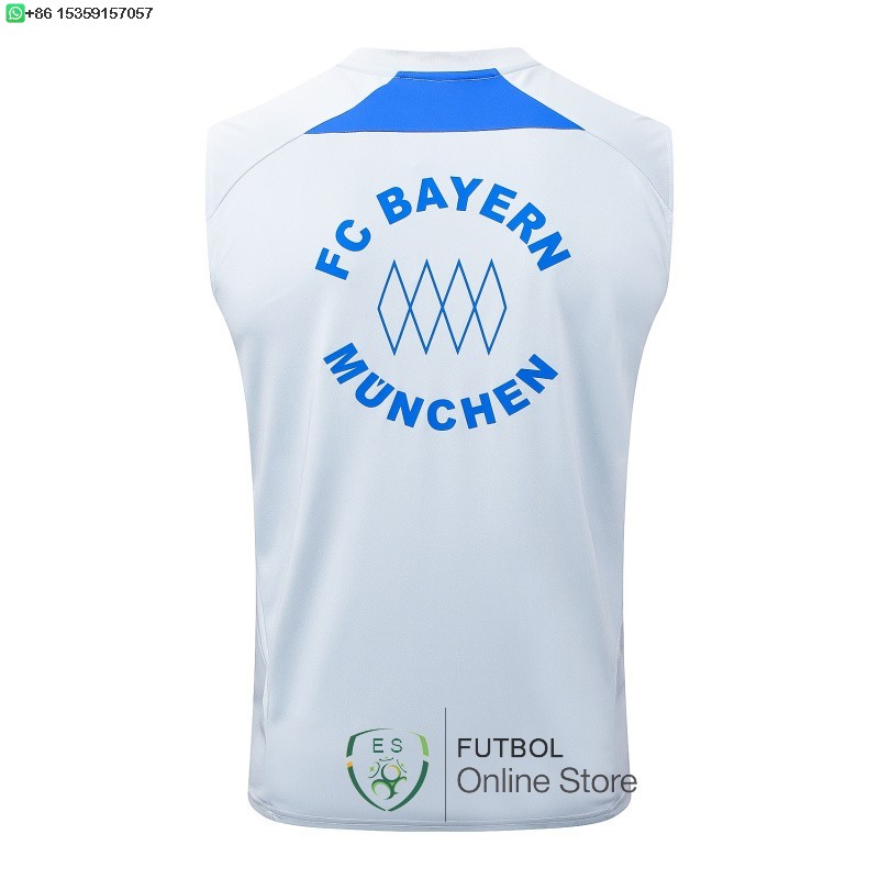 Entrenamiento Sin Mangas Bayern Munich 25/2026 Gris Azul