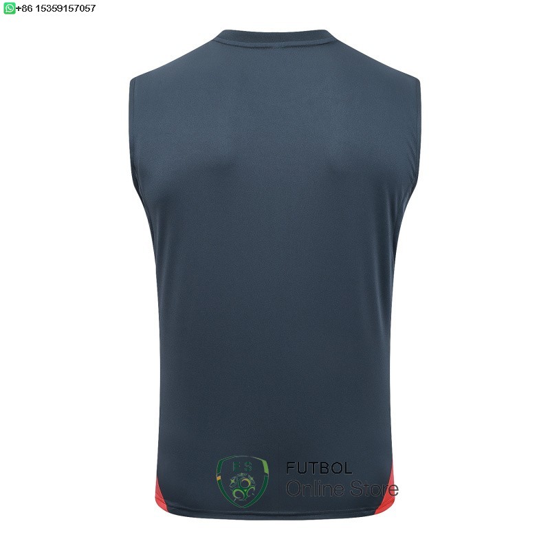 Entrenamiento Sin Mangas Bayern Munich 25/2026 Gris Marino