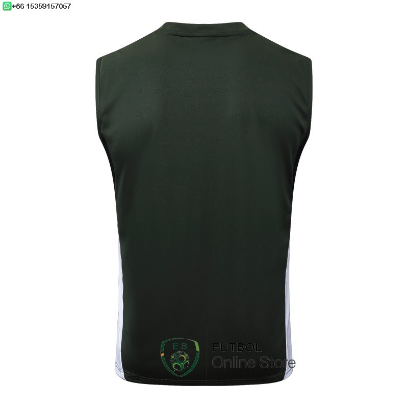 Entrenamiento Sin Mangas Bayern Munich 25/2026 Verde Marino