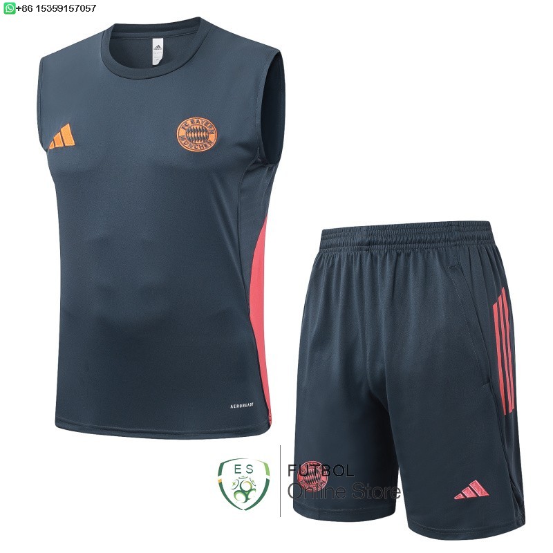 Entrenamiento Sin Mangas Conjunto Completo Bayern Munich 25/2026 Gris Marino