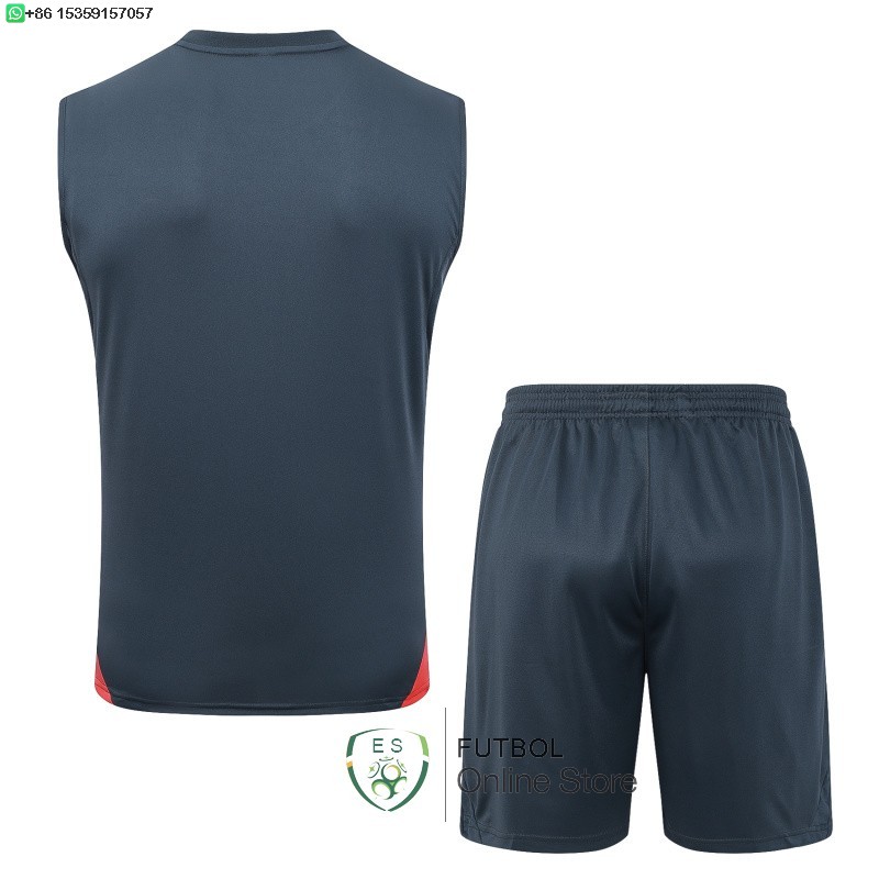 Entrenamiento Sin Mangas Conjunto Completo Bayern Munich 25/2026 Gris Marino