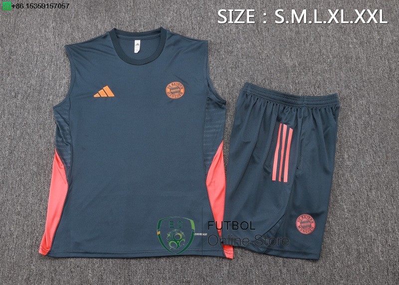 Entrenamiento Sin Mangas Conjunto Completo Bayern Munich 25/2026 Gris Marino