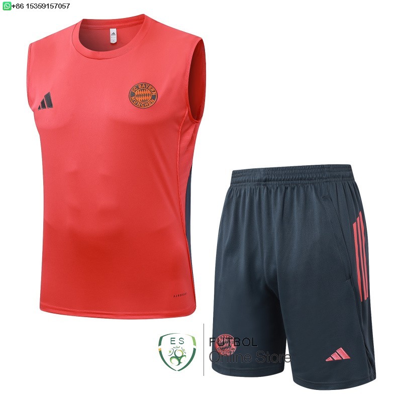 Entrenamiento Sin Mangas Conjunto Completo Bayern Munich 25/2026 Rojo Gris