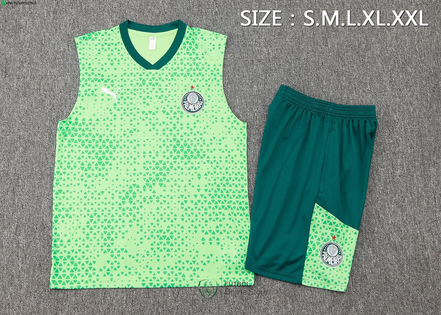 Entrenamiento Sin Mangas Conjunto Completo Palmeiras 25/2026 Verde