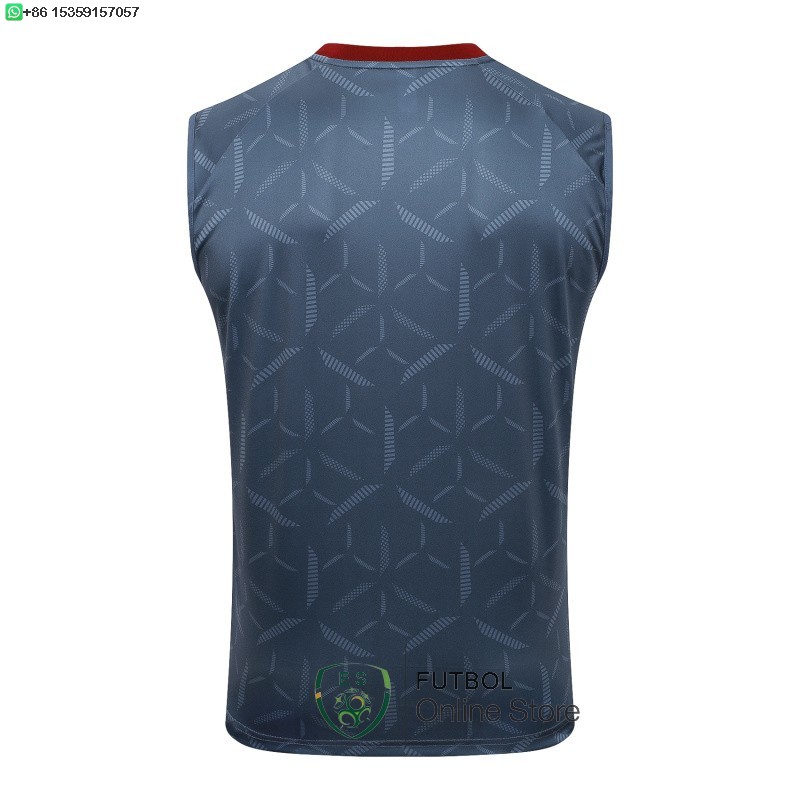 Entrenamiento Sin Mangas Sao Paulo 25/2026 Gris