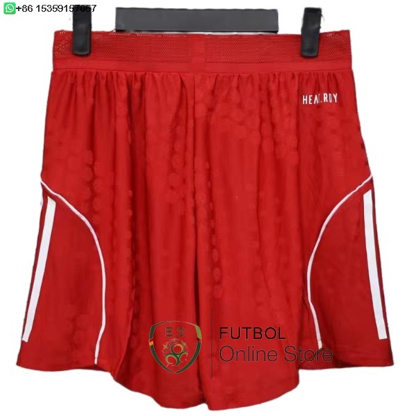 Pantalones Bayern Munich 25/2026 Primera Jugadores