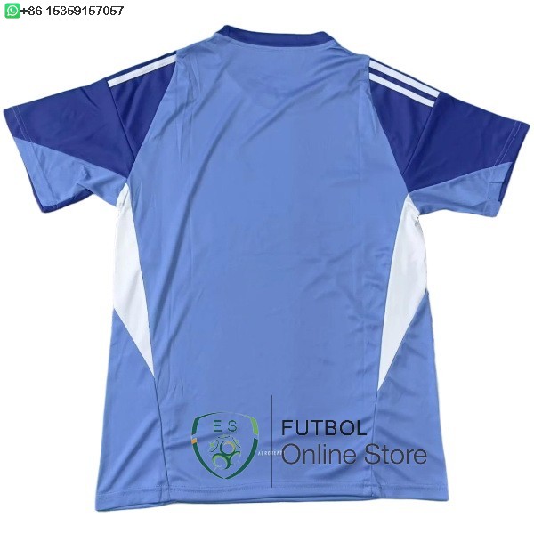 Tailandia Camiseta Newcastle United 25/2026 Portero Azul